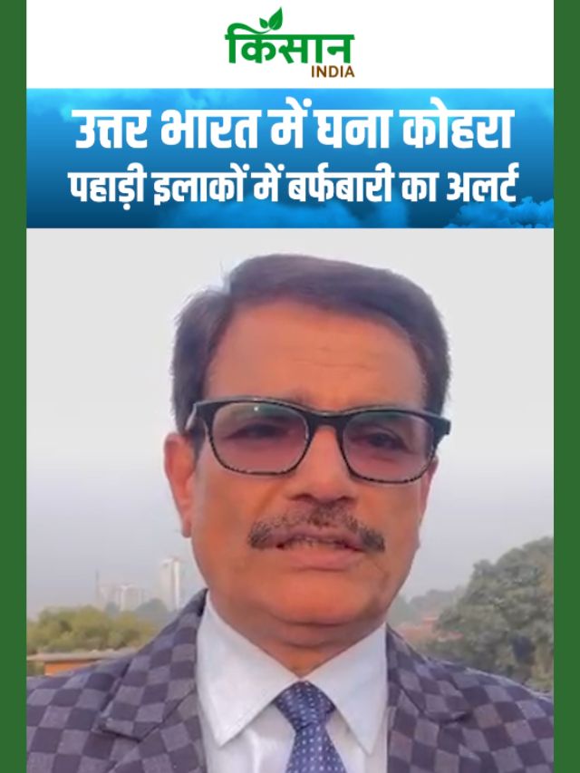 उत्तर भारत में घना कोहरा, पहाड़ी इलाकों में बर्फबारी का अलर्ट!