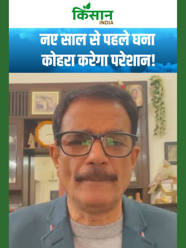 उत्तर भारत में बड़ा मौसम अलर्ट, नए साल से पहले घना कोहरा करेगा परेशान!