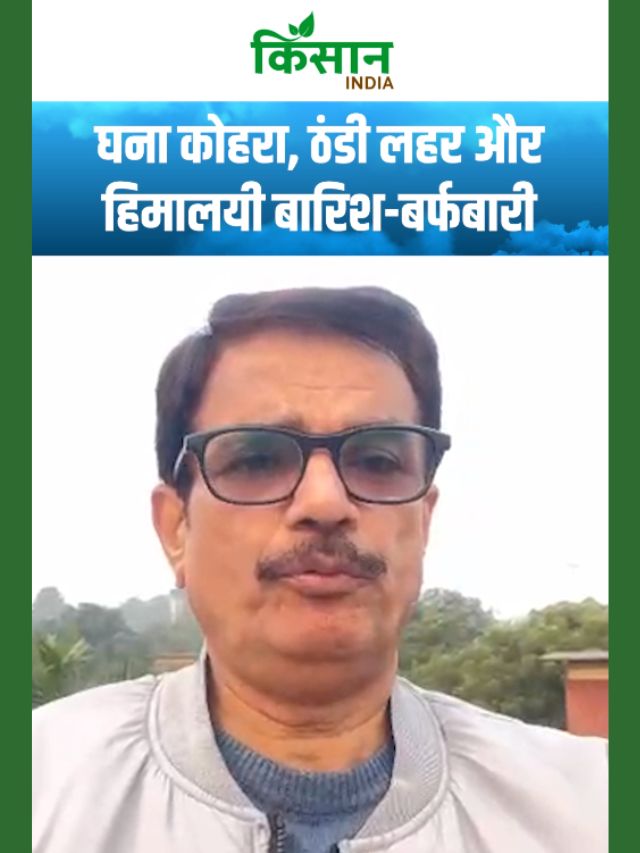 IMD का अलर्ट! घना कोहरा, ठंडी लहर और हिमालय में होगी भयानक बारिश-बर्फबारी!