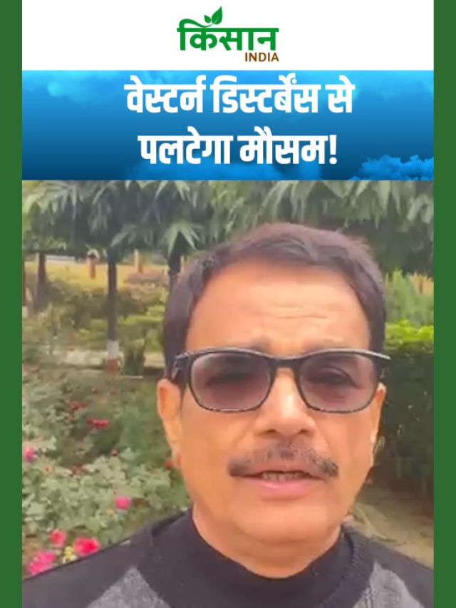 घना कोहरा और शीतलहर से हाहाकार! पश्चिमी विक्षोभ से मौसम में आएगा बड़ा बदलाव!