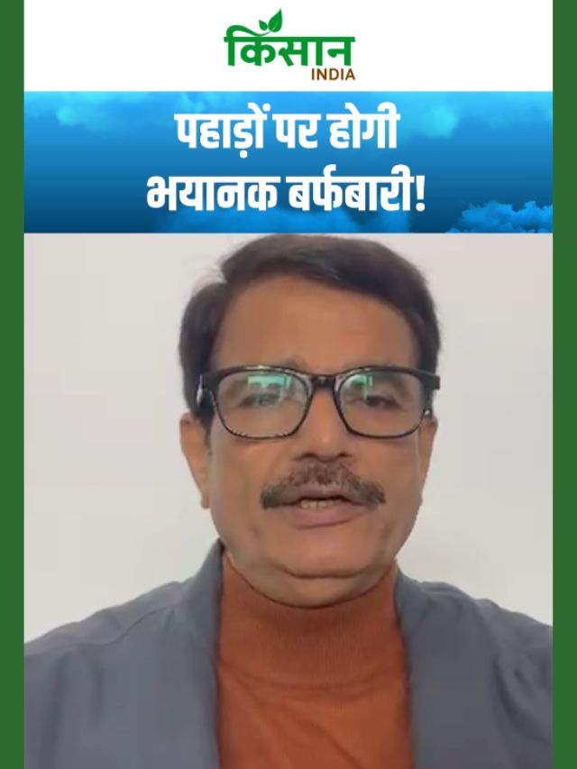 दिल्ली-एनसीआर में घना कोहरा और सर्द हवाएं, मौसम का नया अलर्ट जारी!