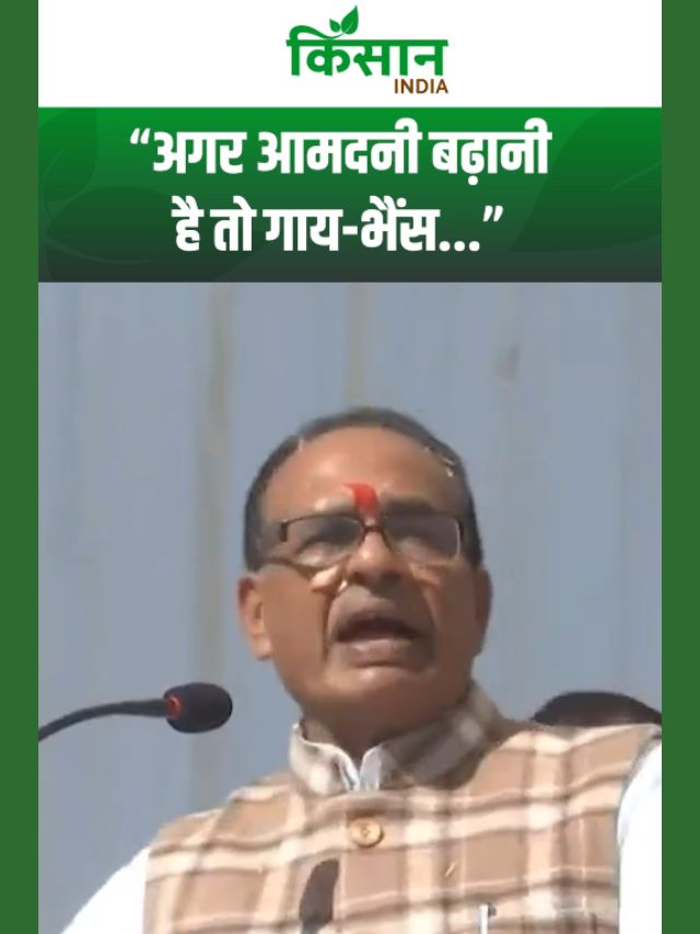 शिवराज सिंह चौहान ने पशुपालकों को दिया बड़ा संदेश, आय बढ़ाने का पक्का फॉर्मूला!