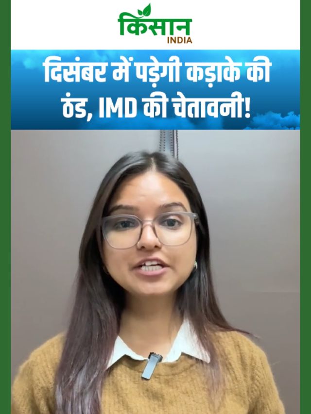मौसम ने ली बड़ी करवट, दिसंबर में भारी बारिश का अलर्ट! इन राज्यों में बरसेंगे बादल!