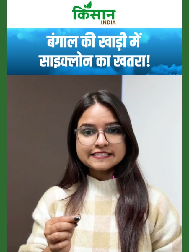 मौसम का डबल अटैक! दक्षिण में चक्रवात, उत्तर में बर्फीली हवाएं, IMD ने जारी की चेतावनी!