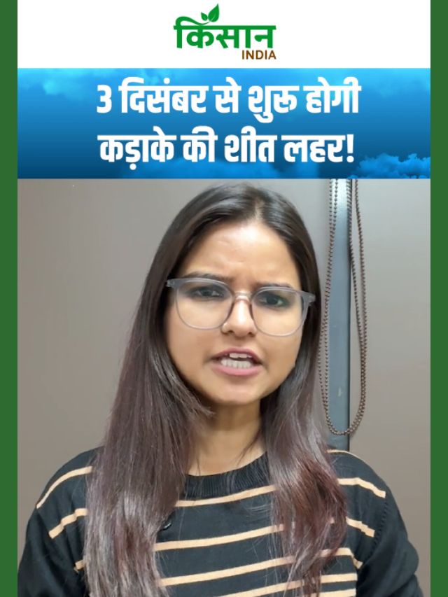 देश के 10 राज्यों में भीषण ठंड की चेतावनी, 3 दिसंबर से शुरू होगी कड़ाके की शीत लहर