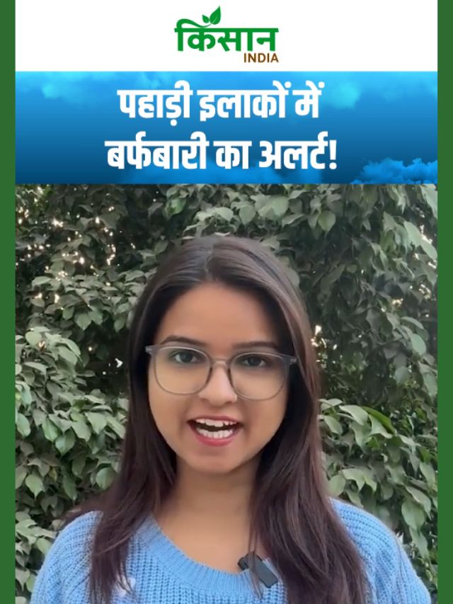 हिमालयी क्षेत्रों में पश्चिमी विक्षोभ एक्टिव, मैदानी इलाकों पर कम असर, बर्फबारी का अलर्ट!