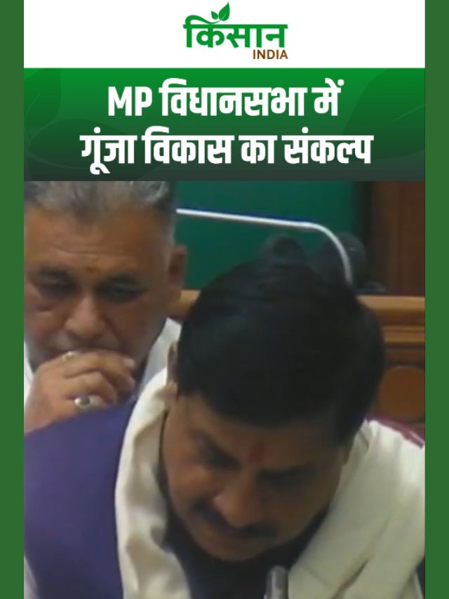 सीएम मोहन यादव का संकल्प, विकसित भारत के लिए विकसित मध्यप्रदेश का वादा!