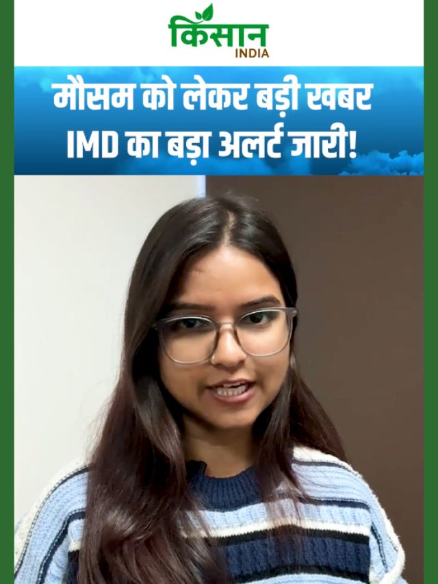 मौसम को लेकर बड़ी खबर, अब कोहरा बरपाएगा कहर! IMD का बड़ा अलर्ट जारी!