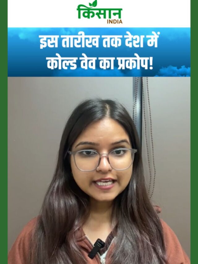 आने वाले दिन होंगे बेहद मुश्किल! बारिश, बर्फबारी और कोहरे से बढ़ेगी लोगों की परेशानियां!
