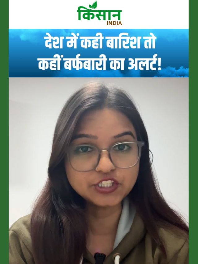 अगले 48 घंटे में देशभर में बारिश, बर्फ और तेज हवा का खतरा, IMD की चेतावनी!