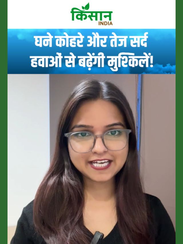 इस तारीख से शुरू होगी नई ठंड की लहर, IMD की बड़ी चेतावनी जारी!