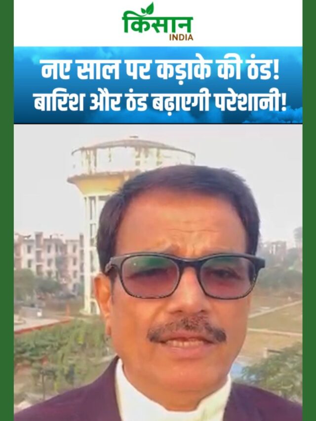 नए साल पर वेस्टर्न डिस्टर्बेंस का बड़ा असर, बारिश-कोहरा और बर्फबारी!