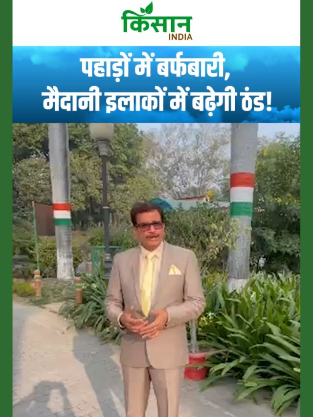 इस तारीख से मौसम का अलर्ट! पहाड़ों में बर्फबारी, मैदानी इलाकों में ठंड बढ़ेगी!