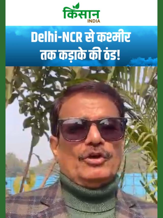 Aaj Ka Mausam: ठंड, कोहरा और बारिश ने बदला मौसम का मिजाज!