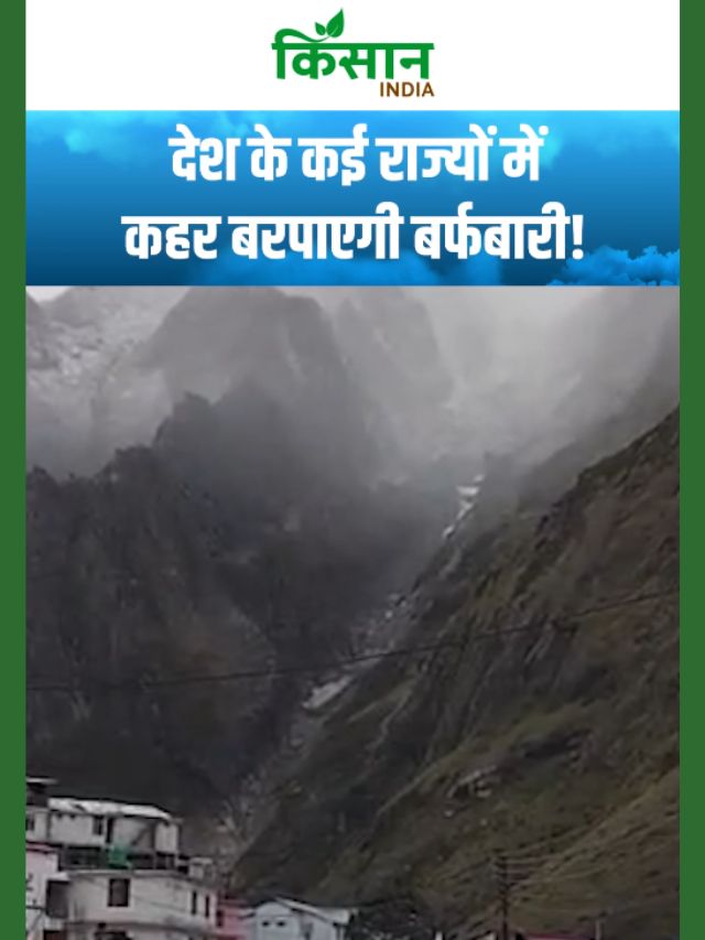 मौसम विभाग का बड़ा अपडेट: पहाड़ी इलाकों में बर्फबारी, मैदानी हिस्सों में ठंड का अलर्ट