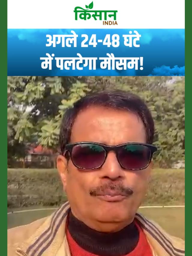 पश्चिमी विक्षोभ से नए साल पर होगी बारिश, New Year पर मौसम का बड़ा बदलाव!