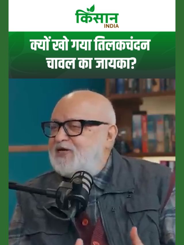 पुष्पेश पंत से जानिए तिलक चंदन चावल से गायब होते जायके का असली कारण