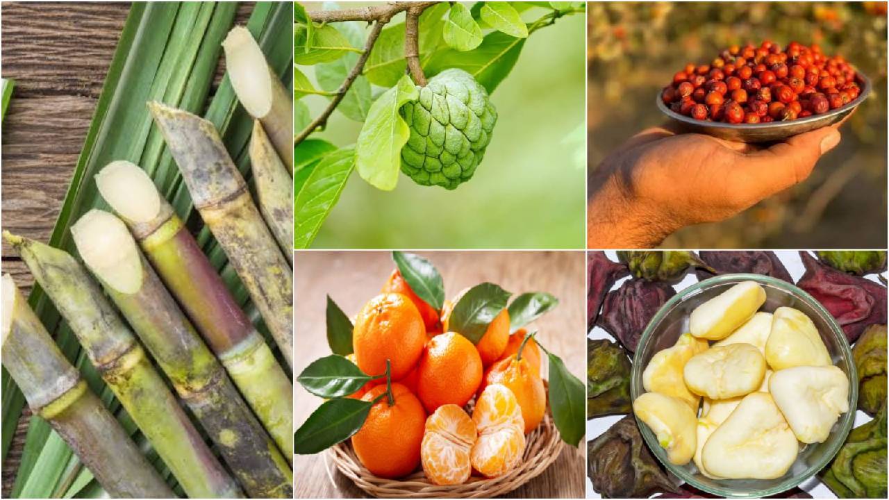 Winter Seasonal Fruit Benefits