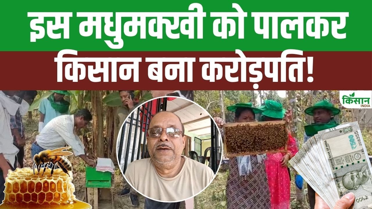 Beekeeping Guide Asam Farmer Arun Mitra Started Beekeeping In 8th Grade And Today Earning Crores In Profits