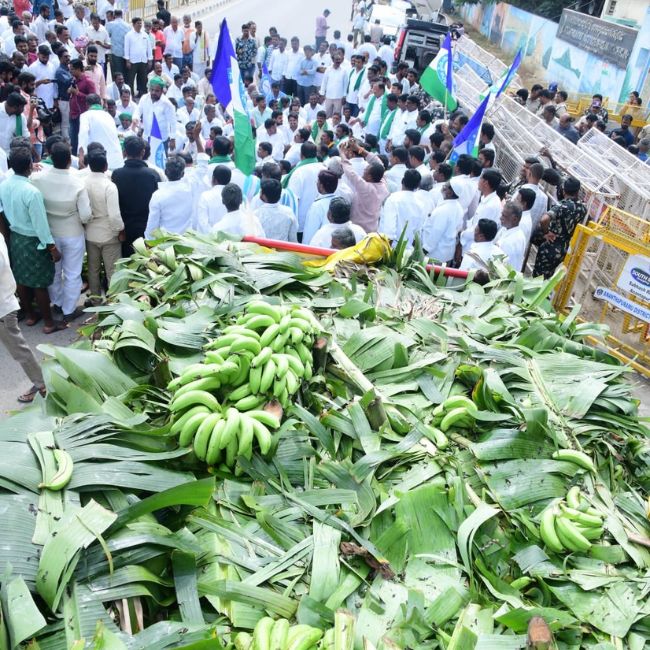 banana mandi bhav cheaper than matchbox price