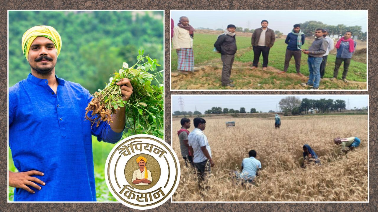 Farmland Ruined By Continuous Wheat And Rice Farming Bihar Farmer Mahendra Kumar Singh Adopted Soil Health Card Scheme And Results Surprising World Soil Day Special Story