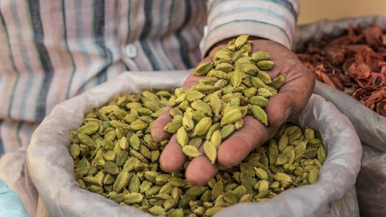 Indian Cardamom 2025 Price Rise Strong Monsoon Higher Production Export Demand Farmers Outlook 2026