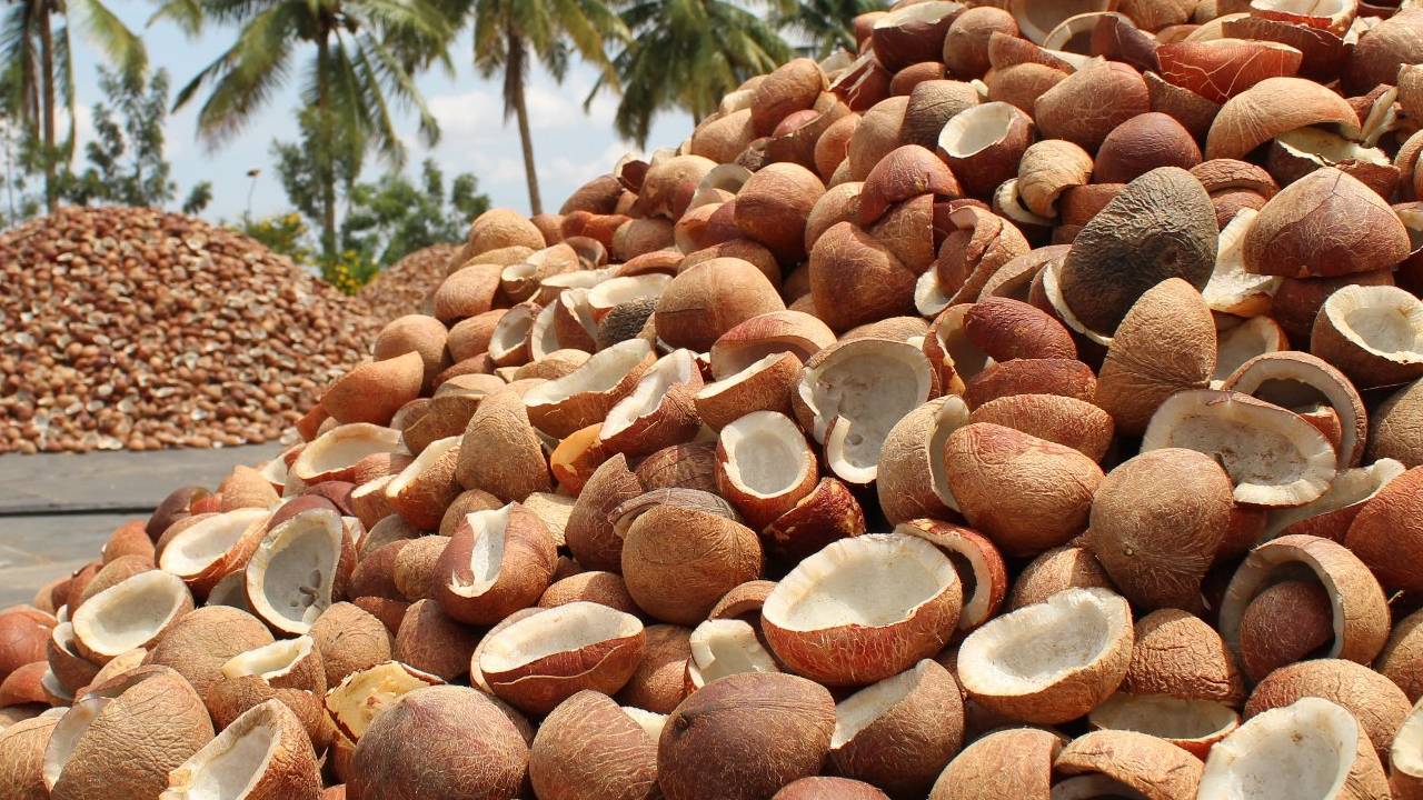 India Hikes Copra Msp 2026 Season To Boost Coconut Farmers Income Support Price Increase