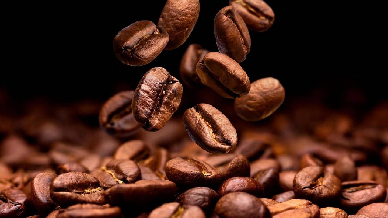 New Climate Resilient Coffee Varieties To Reach Indian Growers Faster Says Ccri