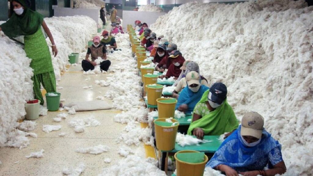 India’s Cotton Imports Set to Hit Record 5 Million Bales as Domestic Consumption Falls in 2025–26 Season
