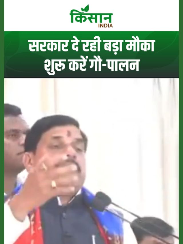 MP सरकार का बड़ा कदम: गौ-पालन से बढ़ेगी किसानों की कमाई, शुरू करें गाय पालन