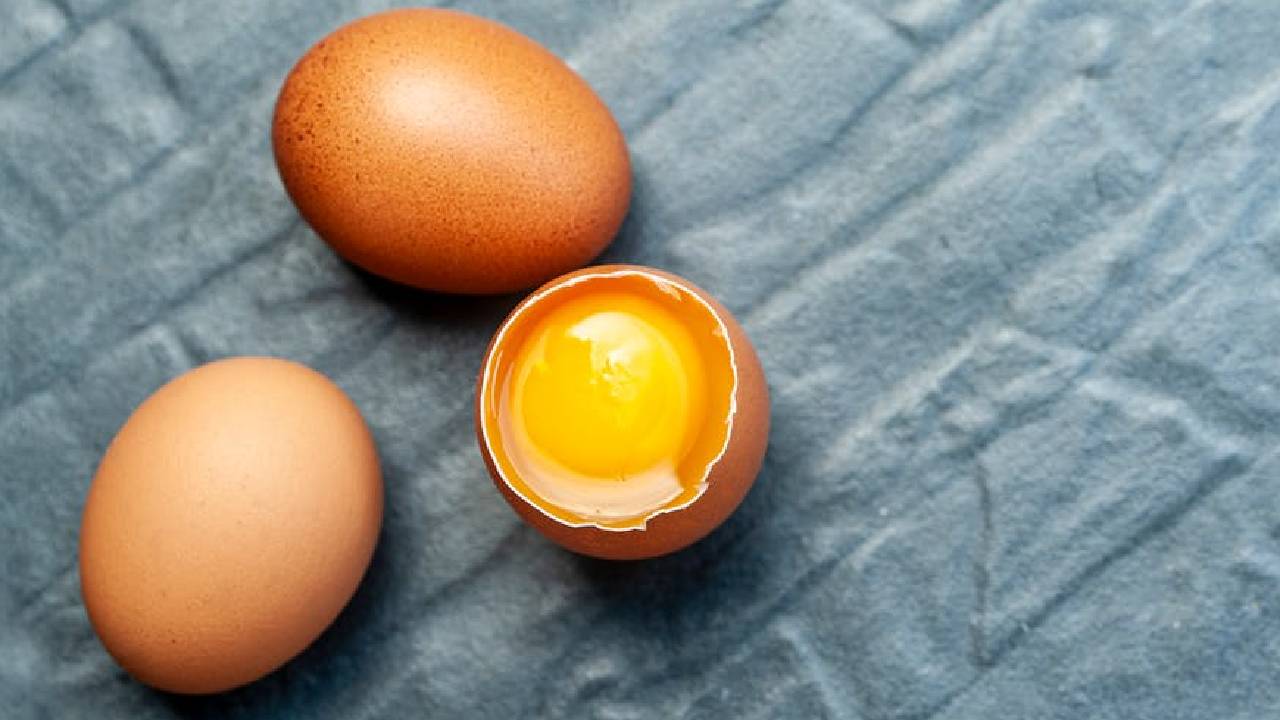 Eggflation India Egg Prices Rise Supply Crunch Winter Demand Exports Protein Consumption