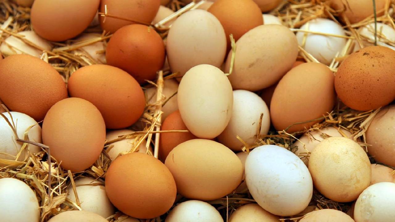 Fssai Nationwide Egg Testing Banned Nitrofurans Food Safety Investigation India