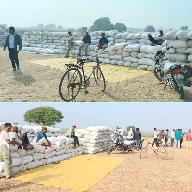 fake-paddy-procurement-center-busted-in-amarpatan-madhya-pradesh