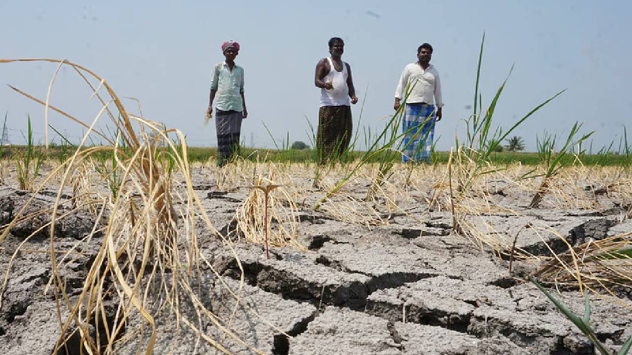 Uttar Pradesh Crop Insurance Scam Probe Over One Lakh Policies Cancelled Officials Under Scanner