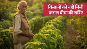 65 लाख किसानों को फसल बीमा राशि नहीं मिलने पर सियासत गरमाई, केला-धान-कपास को नुकसान