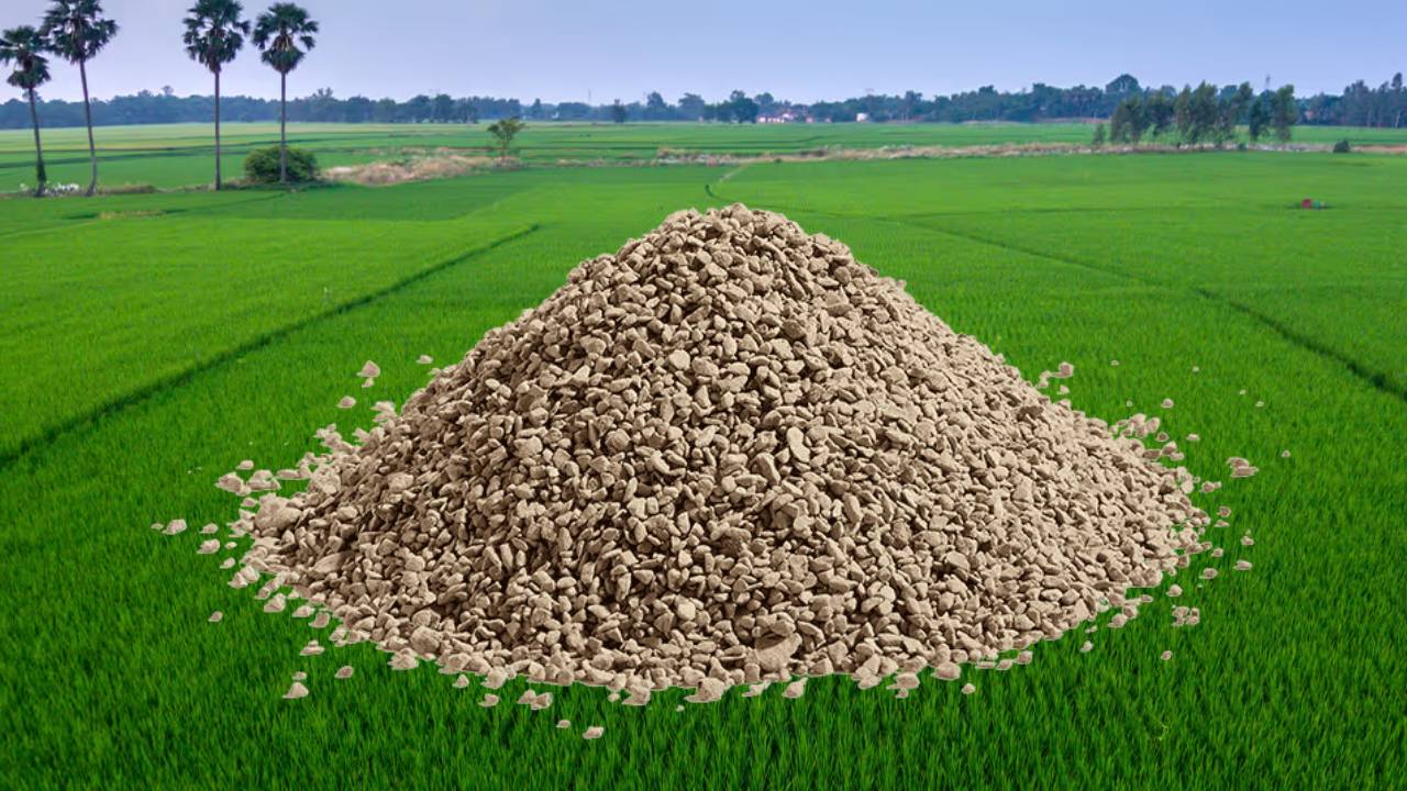 Morocco Ocp Increase Phosphate Exports To India 2025 Customised Fertilisers Sustainable Agriculture Growth