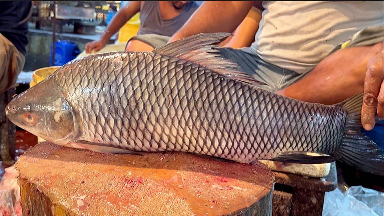 How To Identify Fresh Fish At The Market Easy Expert Tips To Avoid Buying Stale Seafood