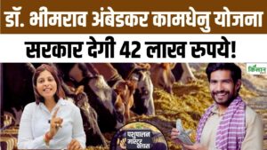 कामधेनु योजना से डेयरी शुरू करने वालों को बड़ा फायदा, सरकार दे रही है लाखों की सब्सिडी