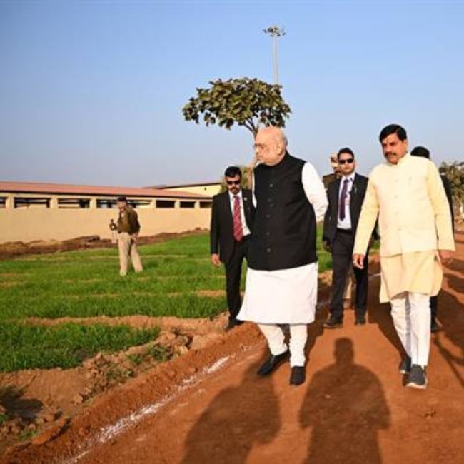 how many farmers adopt natural farming