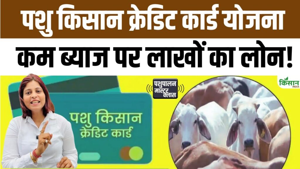 Pashu Credit Card Yojana