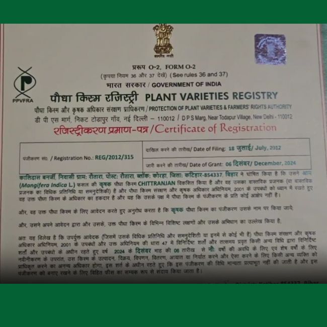 kalidas banerjee mango new variety Chitranjan