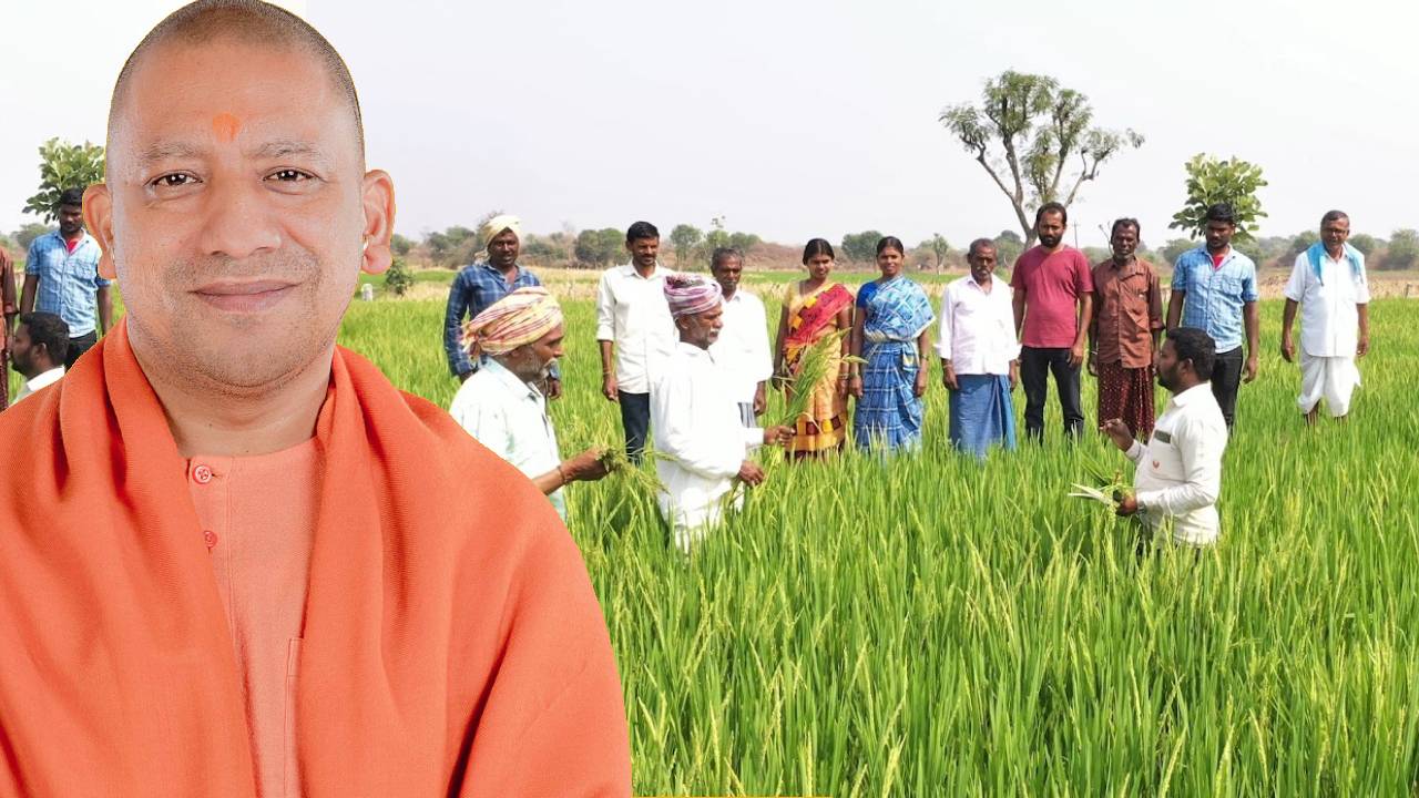 यूपी में आज से लगेगी किसानों की पाठशाला, जानिए क्या सीखेंगे किसान और कैसे मिलेगा फायदा?