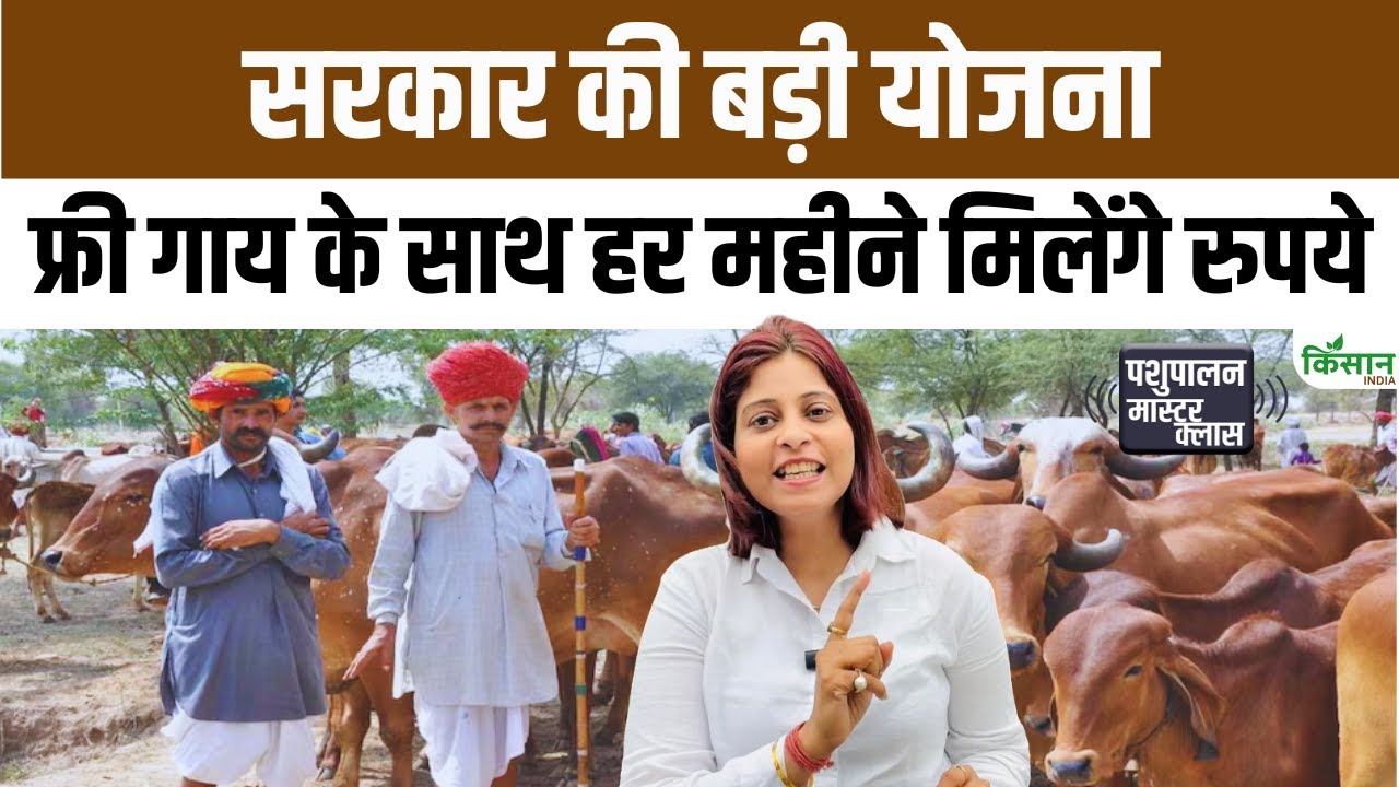 Mp Government Big Scheme With Free Cows Income Cattle Rearers Increase By Rs 1500 Per Month And Employment Strengthened