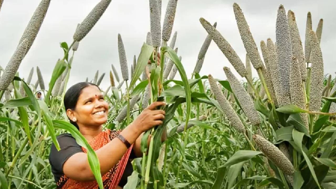 Bundelkhand Set For An Agricultural Breakthrough As Six Millet Processing Plants Begin Operations From New Year