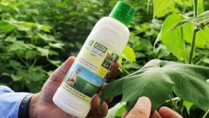 IFFCO की नई बेंगलुरु यूनिट से किसानों को बड़ी राहत, रोज 2 लाख नैनो खाद बोतलों का होगा उत्पादन