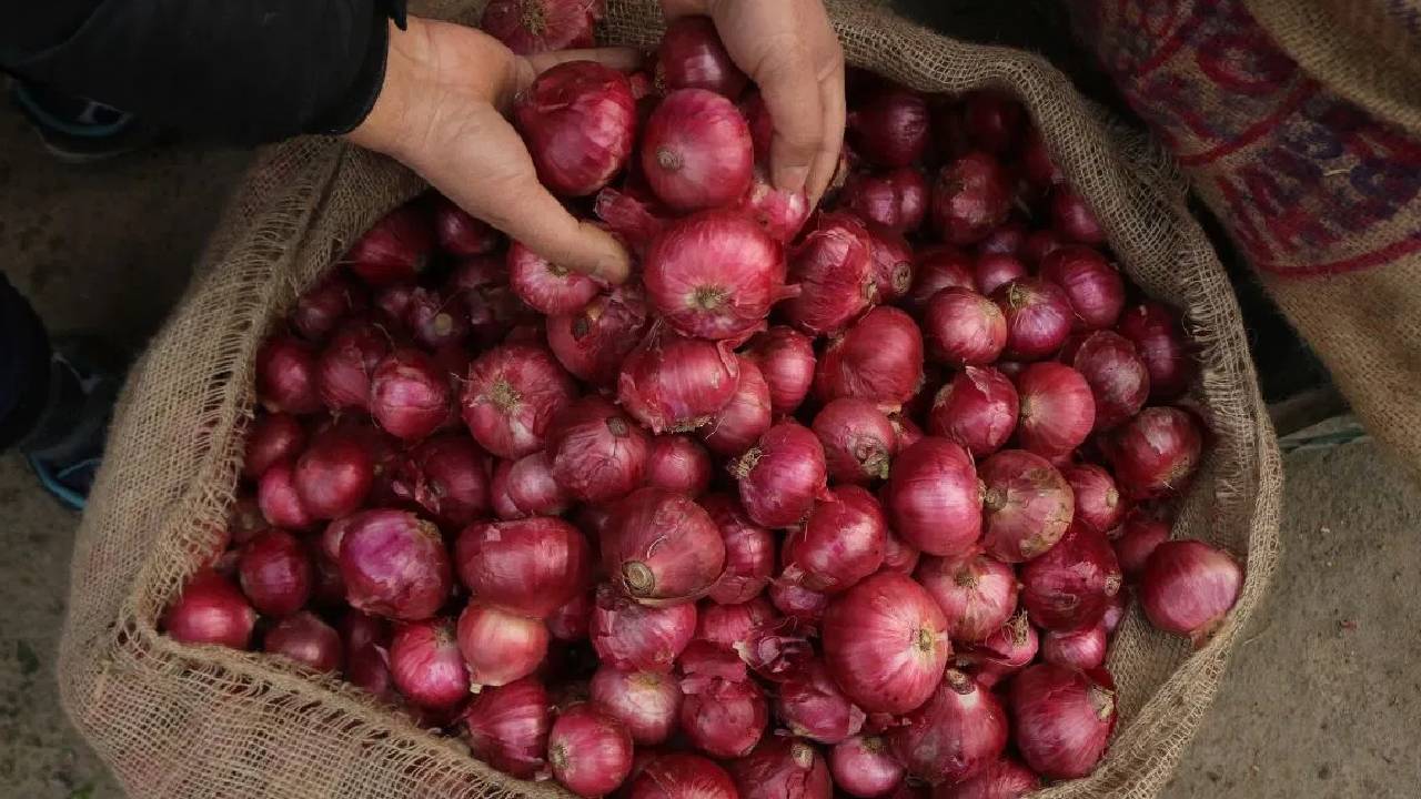 Nashik Red Onion Best In India Maharashtra Variety High Demand Domestic International Markets
