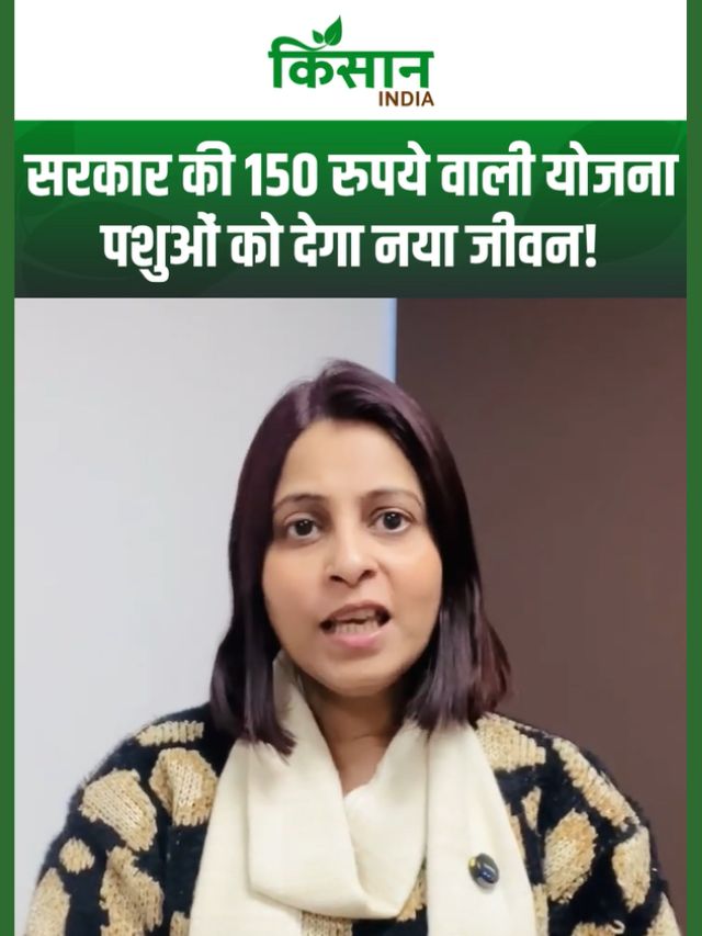 सिर्फ 150 रुपये में सुधरेगी गाय की नस्ल! दूध बढ़ेगा, बच्चा होगा तगड़ा, सरकार की बड़ी योजना