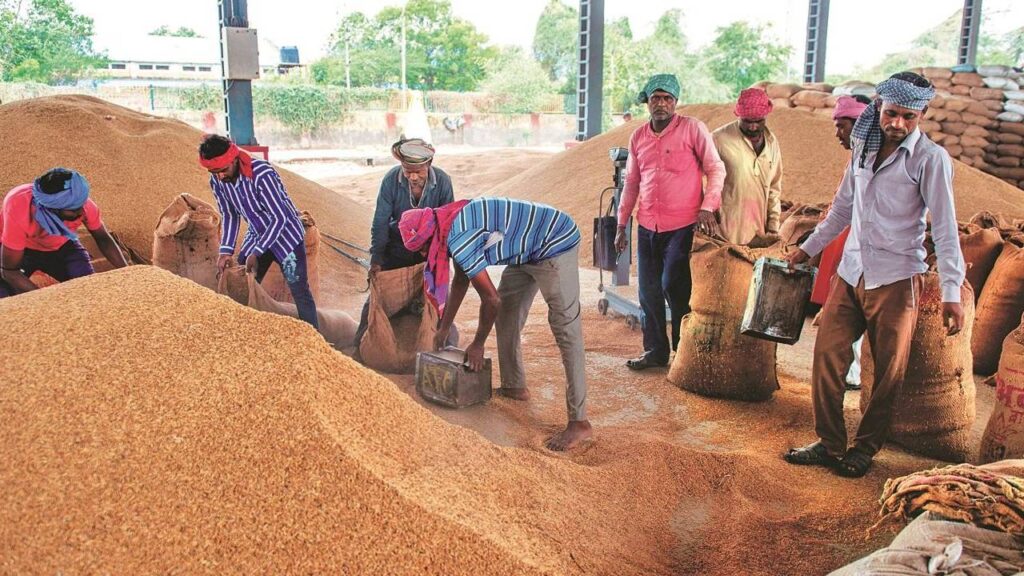 India’s Rice Procurement Rises 13% as Southern States Offset Slowdown in Punjab and UP