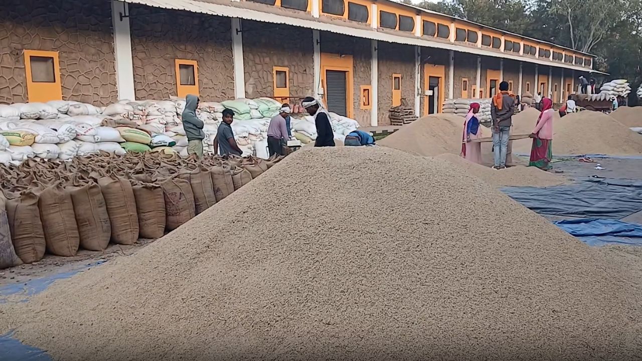 धान किसानों को 7 दिन में हर हाल में पेमेंट देने का निर्देश, हर बोरी में तौल के बाद टैग लगाना अनिवार्य हुआ