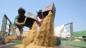 हरियाणा धान घोटाले में शामिल मिल मालिकों की बढ़ी मुश्किलें, पैसा न लौटाने पर मिलें होंगी सील हरियाणा धान घोटाले में शामिल मिल मालिकों की बढ़ी मुश्किलें, पैसा न लौटाने पर मिलें होंगी सील